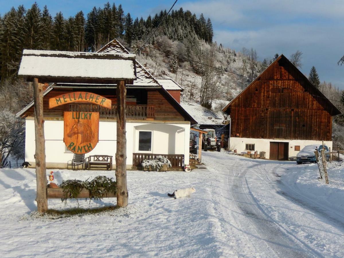 Ferienhaus Am Reitbauernhof Luckyranch Mellach  외부 사진